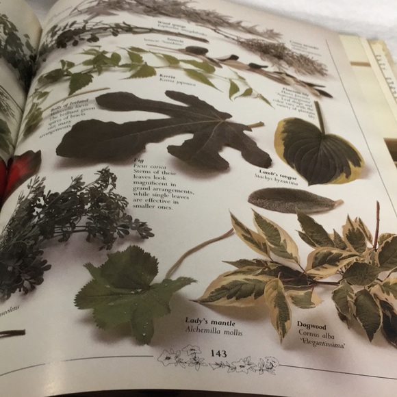 Fresh Flowers A complete guide to selecting & arranging coffee table book - Picture 14 of 16